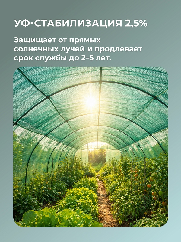 /upload/resize_cache/iblock/a4b/800_800_0/31bi5ne1q6hmq5vrjk3vi2ndplcem64r.jpg