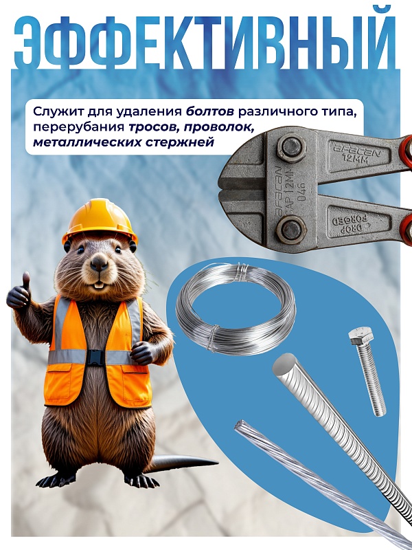 /upload/resize_cache/iblock/d12/800_800_0/qgejhk7zz1y1biod9t9tf8qp3jybcq09.jpg