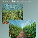 Сетка затеняющая Промышленник зеленая 50% 2х50 м фото 3